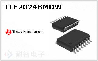 TLE2024BMDW