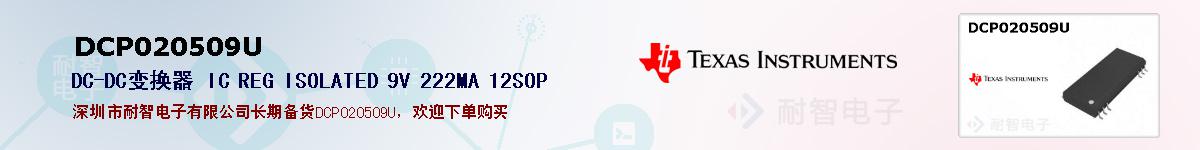 DCP020509Uıۺͼ