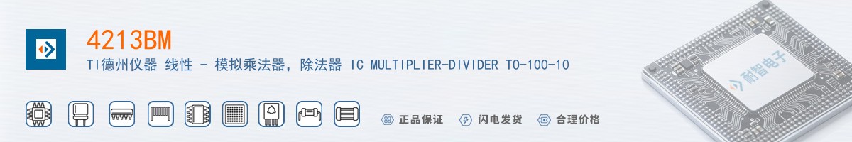 4213BM������