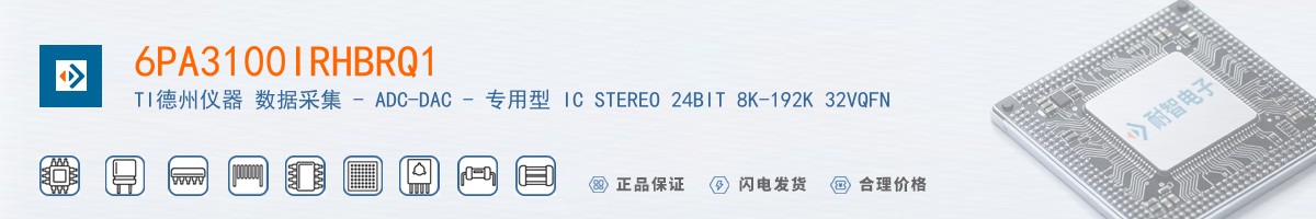 6PA3100IRHBRQ1������