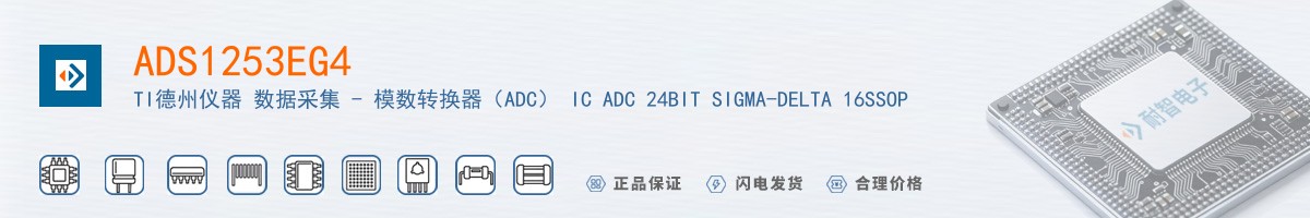 ADS1253EG4������
