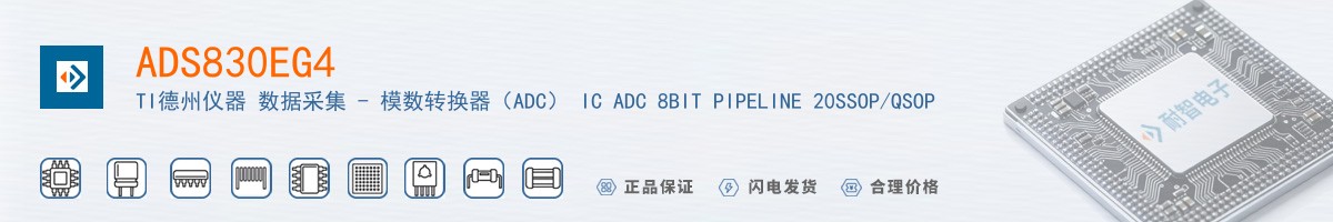 ADS830EG4������