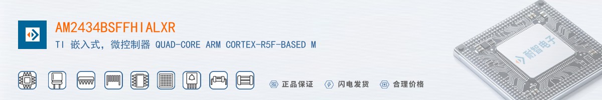AM2434BSFFHIALXR������