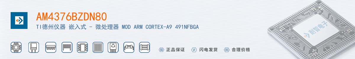 AM4376BZDN80������
