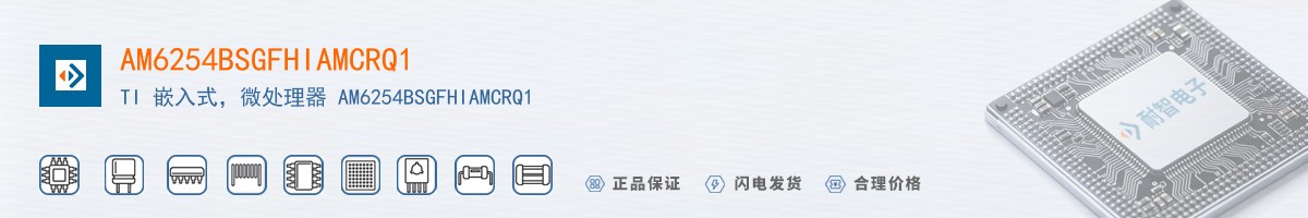 AM6254BSGFHIAMCRQ1������