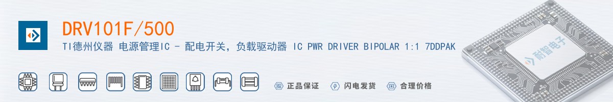 DRV101F/500������