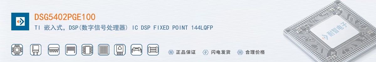 DSG5402PGE100������