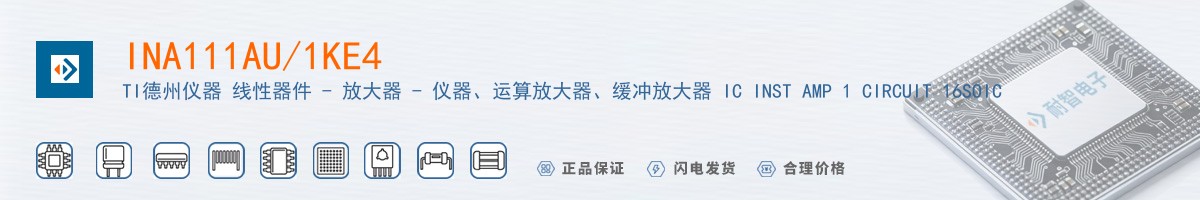 INA111AU/1KE4������