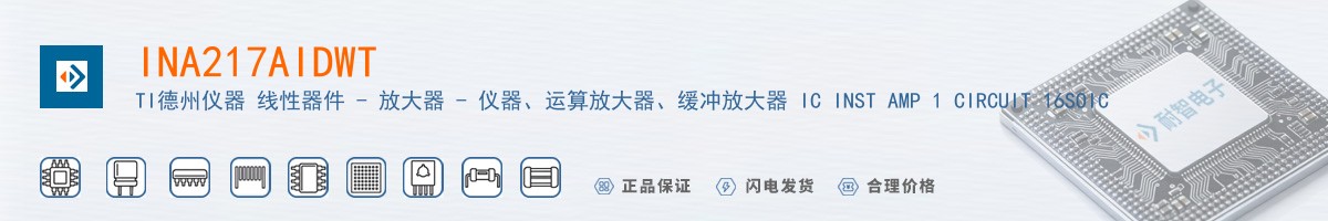 INA217AIDWT������