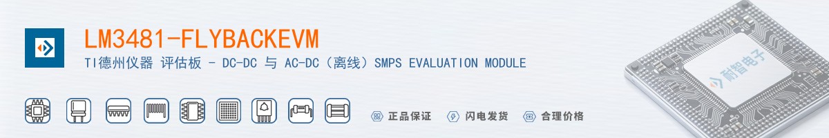 LM3481-FLYBACKEVM������