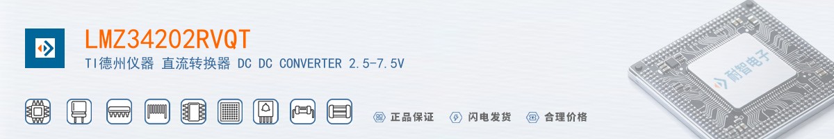 LMZ34202RVQT������