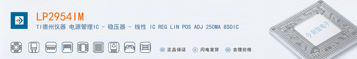 LP2954IM������