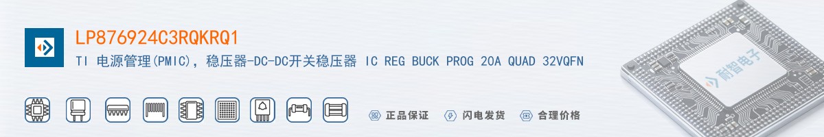 LP876924C3RQKRQ1������