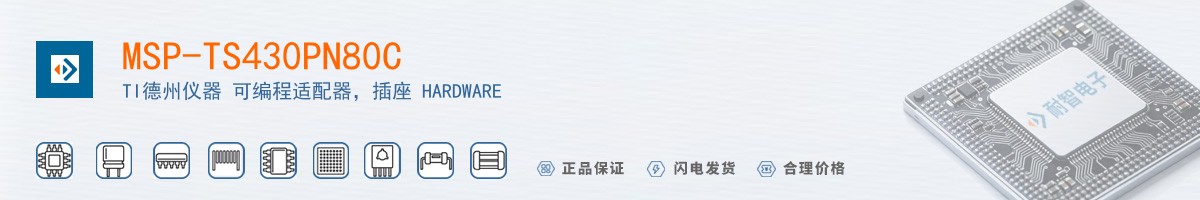 MSP-TS430PN80C������