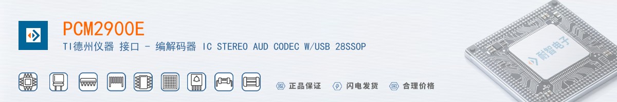 PCM2900E������