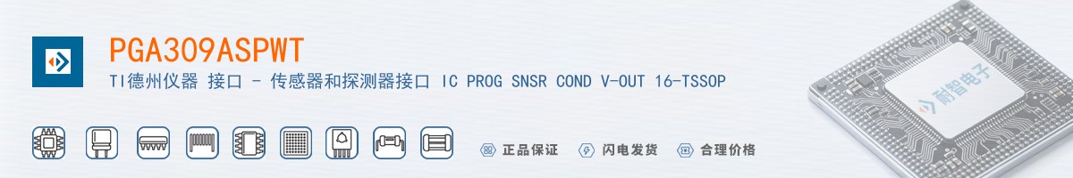 PGA309ASPWT������