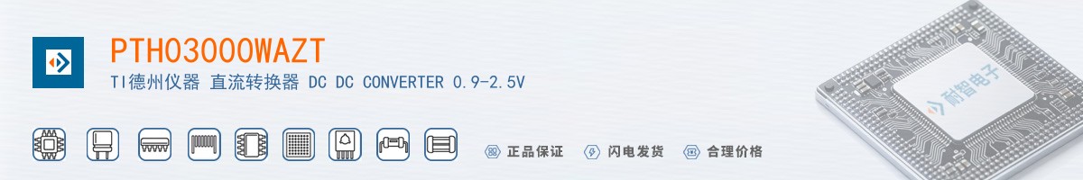 PTH03000WAZT������