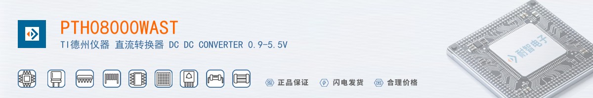 PTH08000WAST������