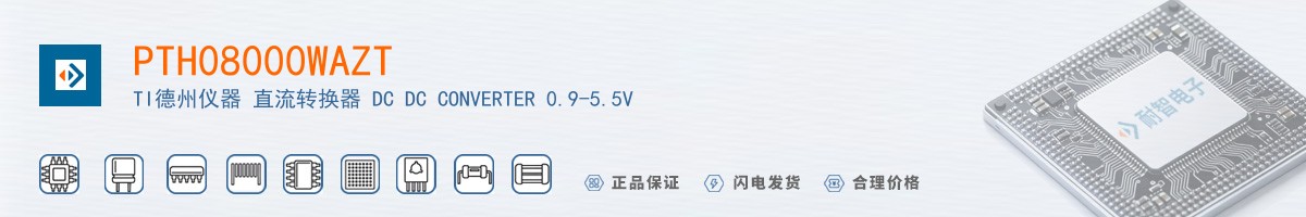 PTH08000WAZT������