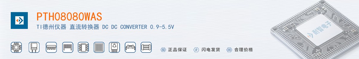 PTH08080WAS������