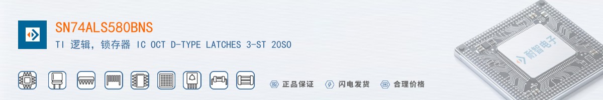 SN74ALS580BNS������