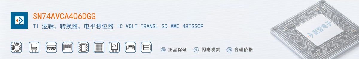 SN74AVCA406DGG������