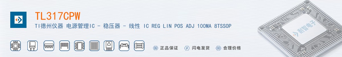 TL317CPW������