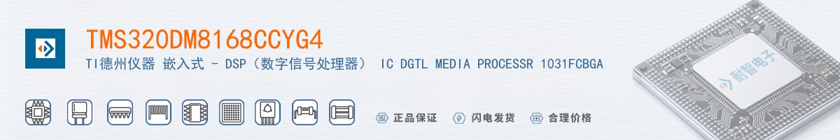 TMS320DM8168CCYG4������