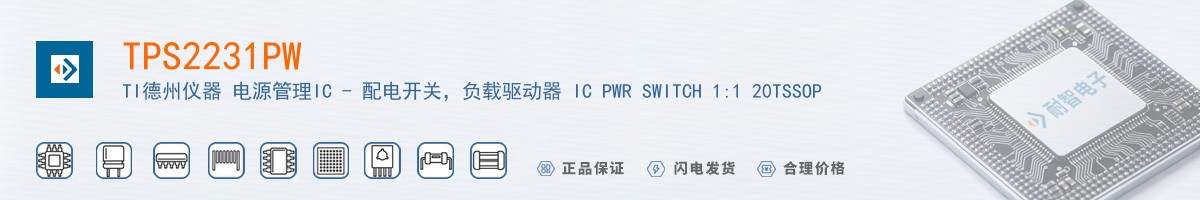 TPS2231PW������