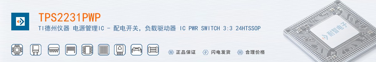 TPS2231PWP������