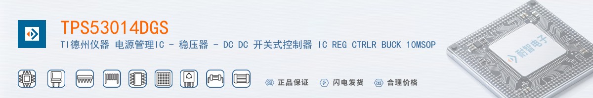 TPS53014DGS������