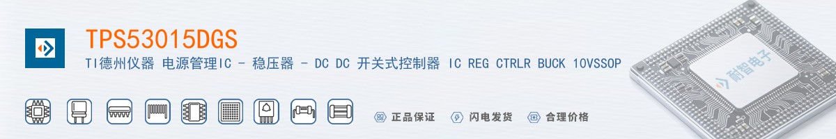 TPS53015DGS������
