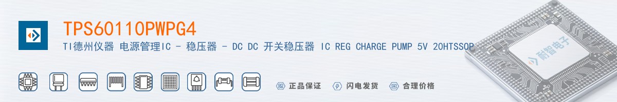 TPS60110PWPG4������