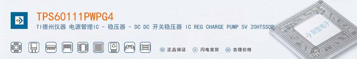 TPS60111PWPG4������