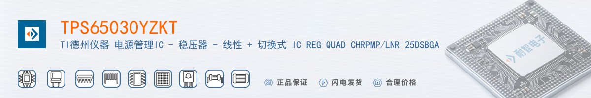 TPS65030YZKT������