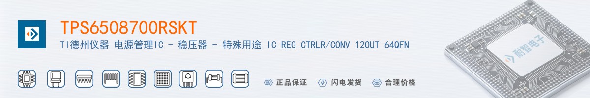 TPS6508700RSKT������