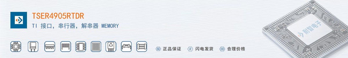TSER4905RTDR������