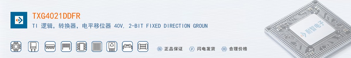 TXG4021DDFR������