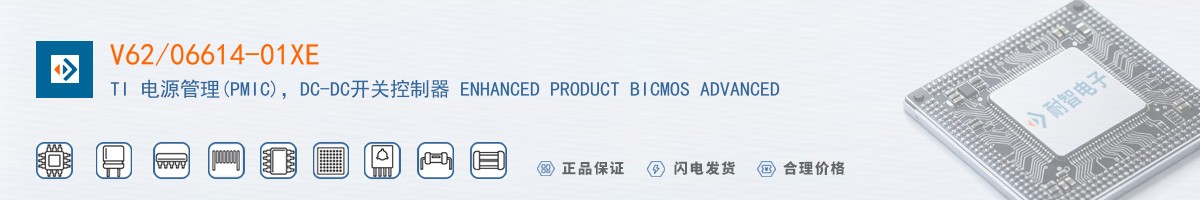 V62/06614-01XE������