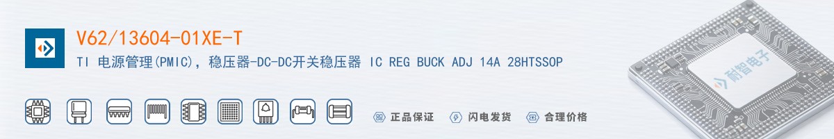 V62/13604-01XE-T������