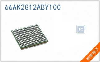 66AK2G12ABY100