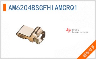 AM6204BSGFHIAMCRQ1