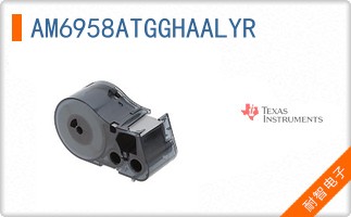 AM6958ATGGHAALYR