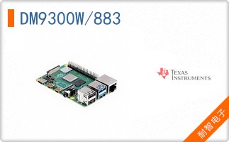 DM9300W/883