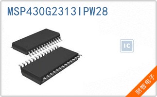 MSP430G2313IPW28