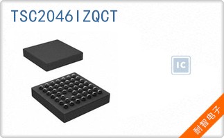 TSC2046IZQCT