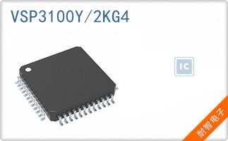 VSP3100Y/2KG4